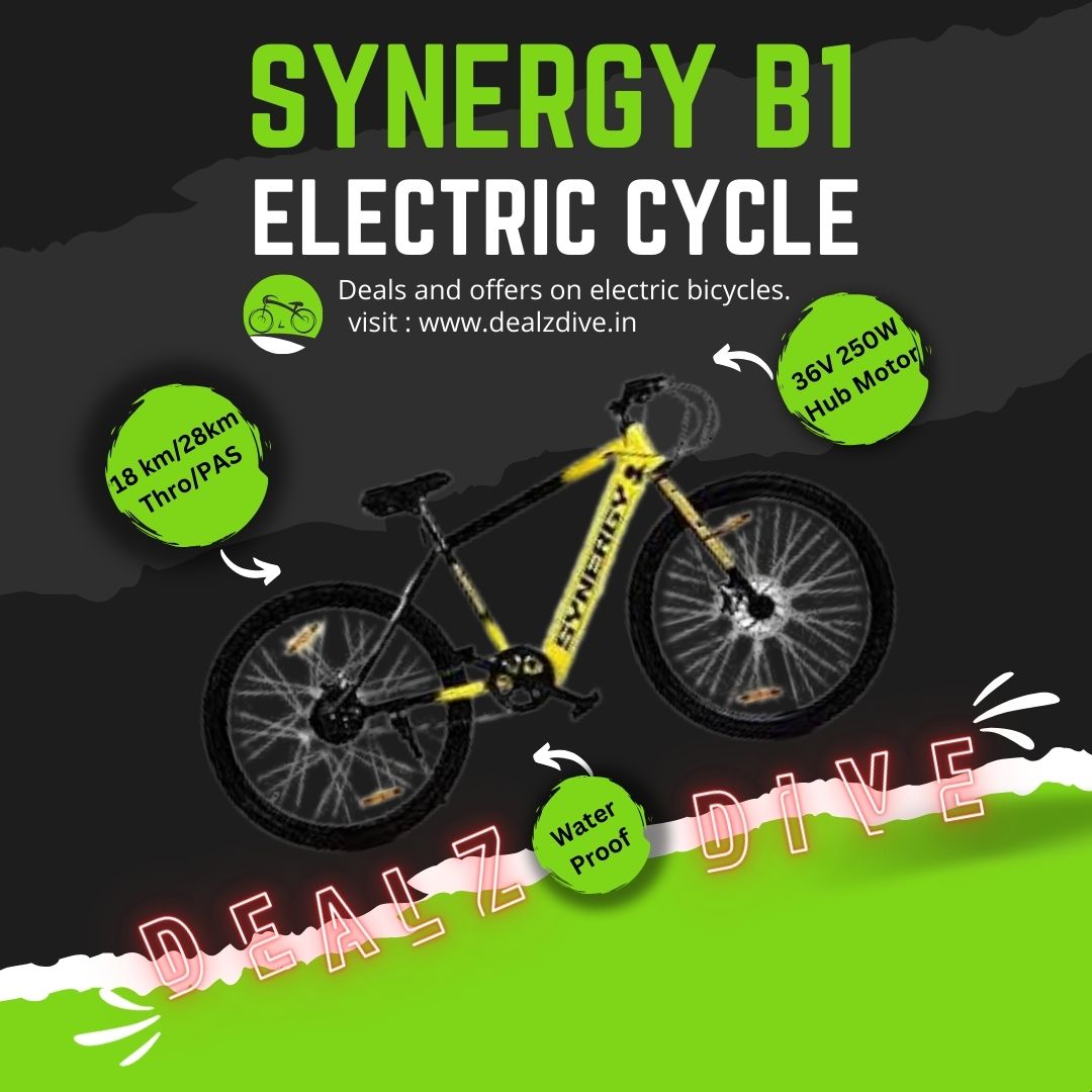 Electric cycle